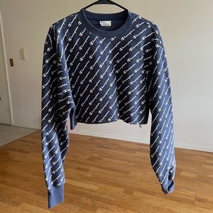 Cropped Blue champion hoodie